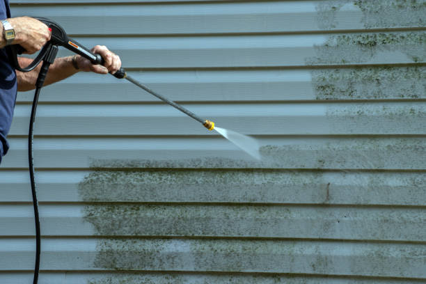 Best Residential Pressure Washing in Norris City, IL