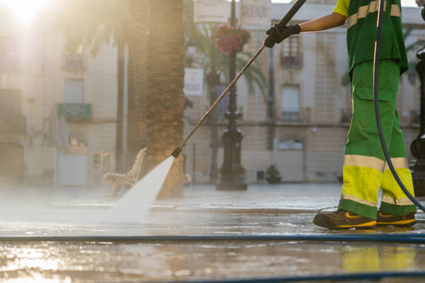 Best Roof Cleaning and Mildew Removal in Norris City, IL
